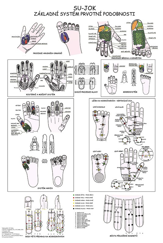 Vydavatelství Poznání Anatomická mapa - Su-Jok